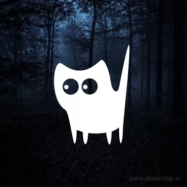 Piegludināma uzlīme ar atstarojošu efektu "kaķis u07"