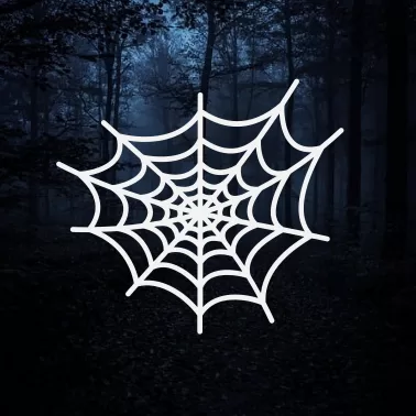 Iron-On Clothing Sticker with Spider Web D01