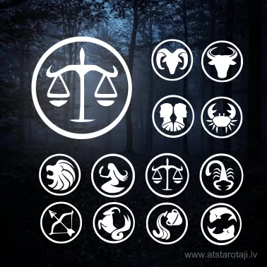 Reflektierende Aufbügelbare Sternzeichen u01