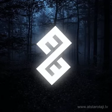 Reflektierender Aufkleber für Kleidung „Ringelnatter“ 13u