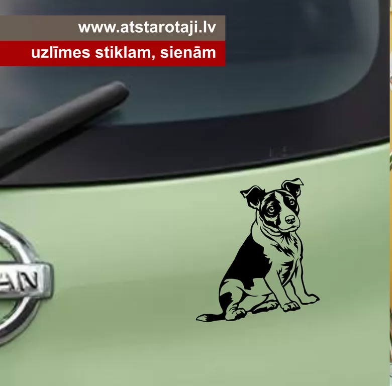 Jack Russell Aufkleber – Reflektierender Hundesticker für Wände, Glas, Auto