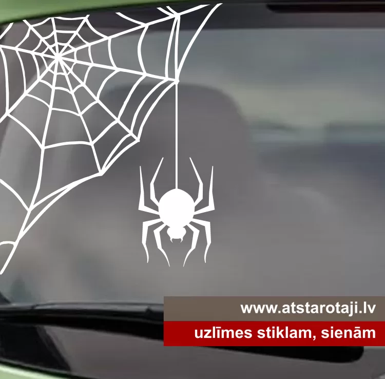 Spider-Web Wand, Spiegel und Autofenster-Aufkleber M02