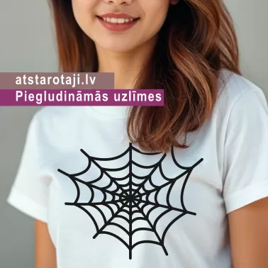 Iron-On Clothing Sticker with Spider Web D01