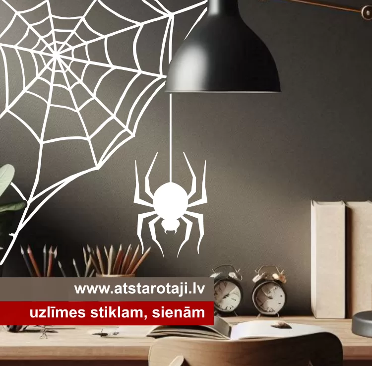 Spider-Web Wand, Spiegel und Autofenster-Aufkleber M02
