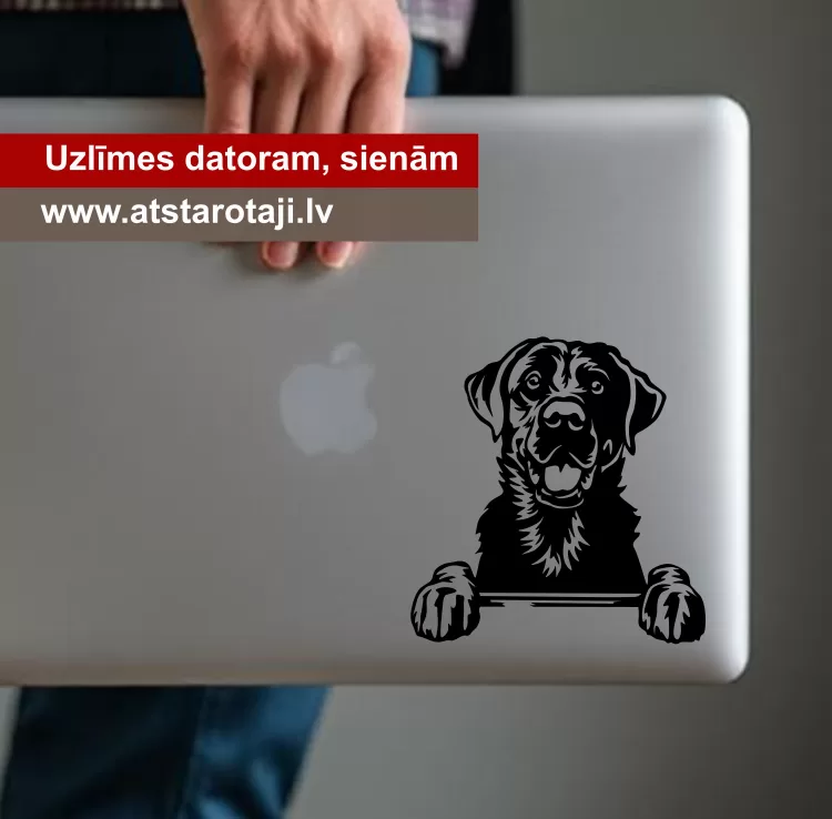 Uzlīme sienām, datoram un stiklam "labradors01"