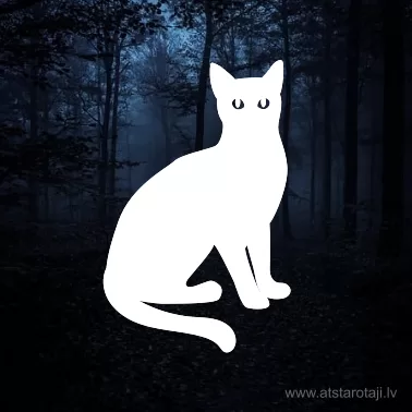 Reflektierendes Katzen-Bügelbild für Kleidung u10