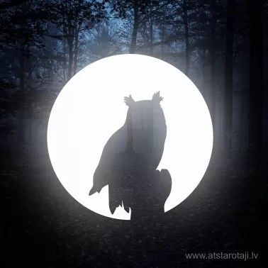 Reflektierendes Aufbügelbild "Eule & Mond u01"