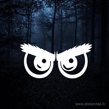 Reflektierender Aufbügel-Aufkleber für Kinder und Erwachsene "Augen u01"