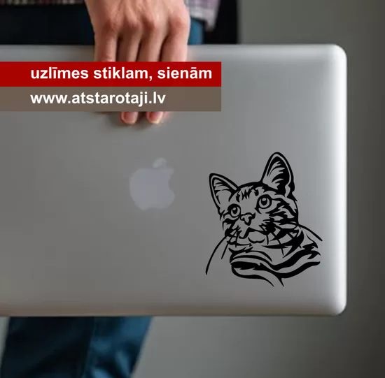 Sticker for Walls, Car, Laptop with Tabby Cat (m03)