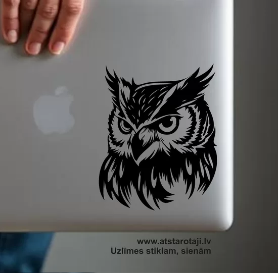 Uzlīme spogulim, datoram, automašīnai "pūce 03"