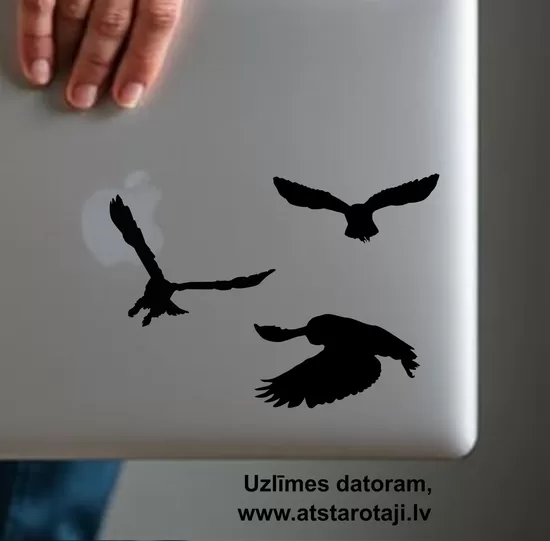 Set of 5 Owl Silhouette Vinyl Decals - 02m