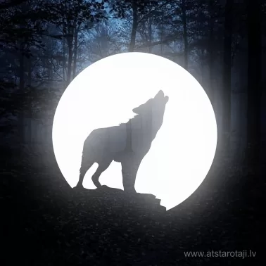 Reflektierendes Wolf & Mond Bügelbild für Kleidung (u01)