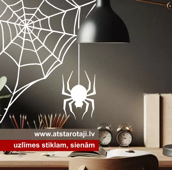 Spider Web Wall, Mirror, and Car Window Corner Sticker M02