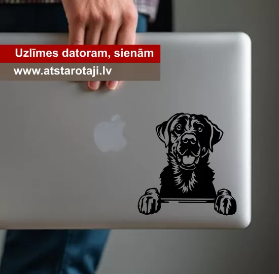 Sticker for walls, computer, and glass "labrador 01"