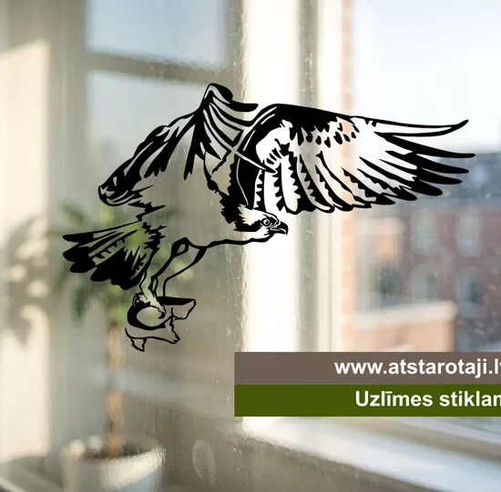 Bird Window & Wall Decals "Osprey" 01