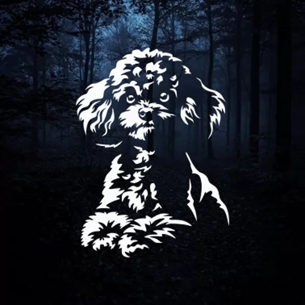 Heat transfer decal "poodle" 01