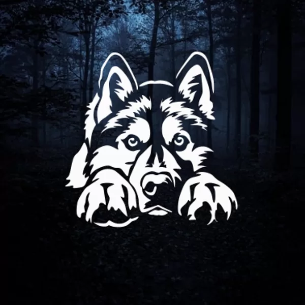 Iron on reflectors "Husky"01