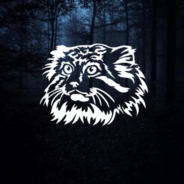 Iron on for kids "manuls" 01