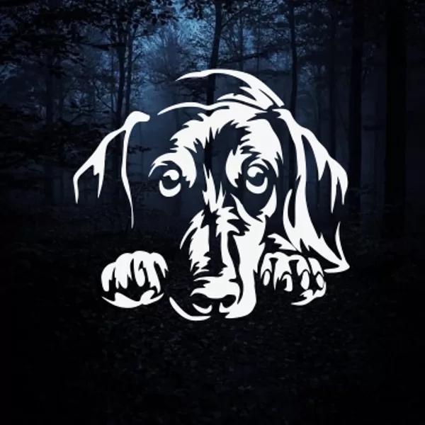 Safety reflective iron on "Dachshund 01"