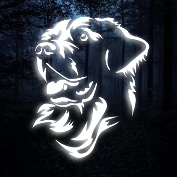 Reflective iron on "Golden retriever" 01u