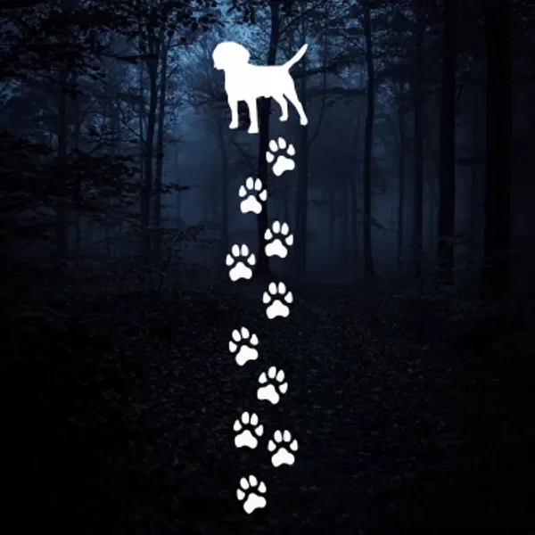 Reflective heat transfer "Beagle paws 01"