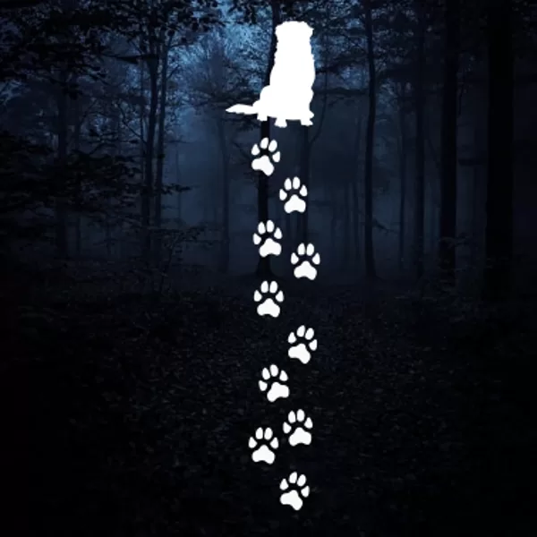 Reflective iron on "Golden Retriever paws u01"