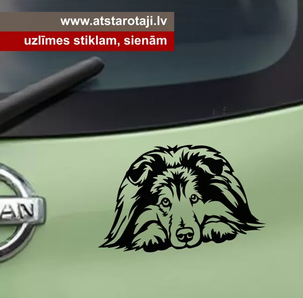 Sheltie Sticker for Laptop, Mirror & Car u01