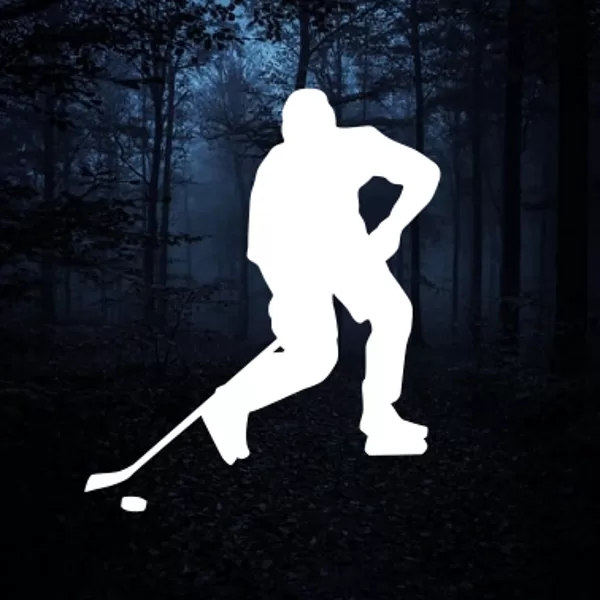 ice hockey player u01