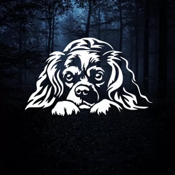 Astarotājs Karaļa čārlza spaniels 01