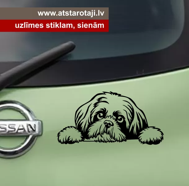 Shih Tzu Dog Car Window And Wall Sticker 01m